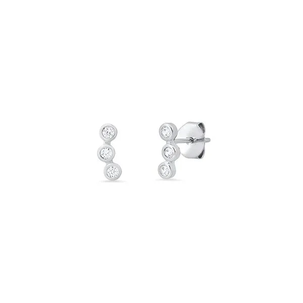 Sterling Silver Earrings Alexander Fine Jewelers Fort Gratiot, MI