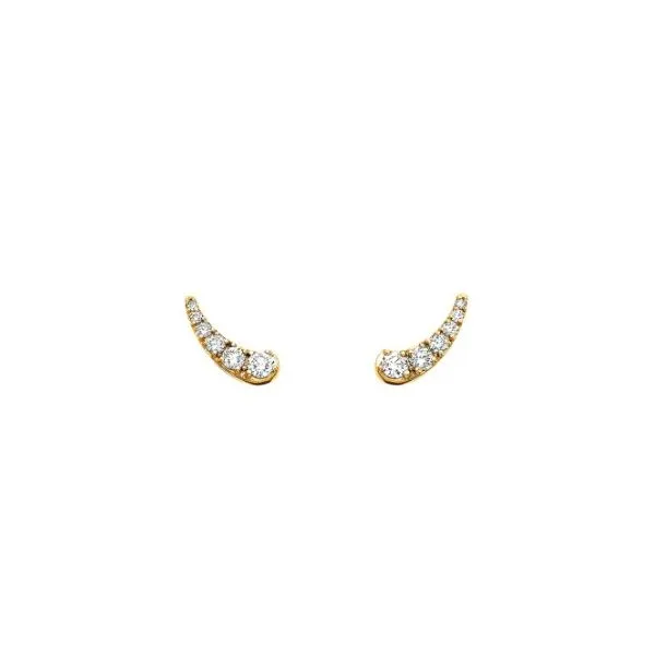 Silver Diamond Earrings Amos Jewelry Wray, CO