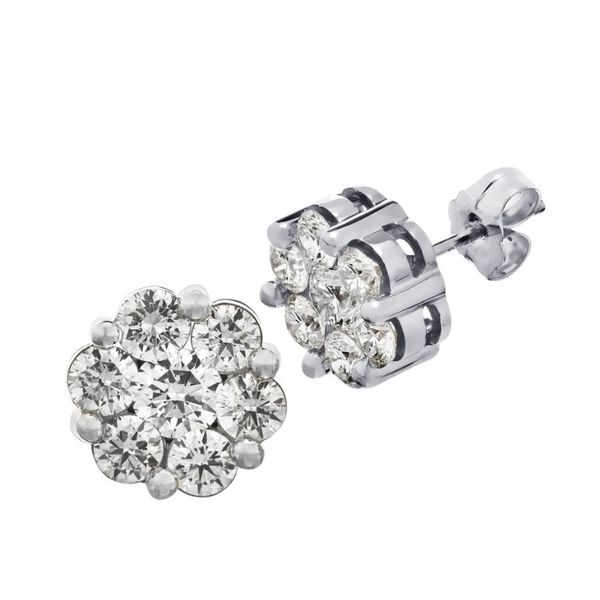 10KW 0.75cttw Natural Diamond 7-Stone Cluster Stud Earring Amos Jewelry Wray, CO