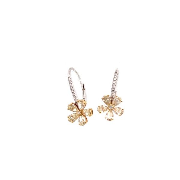 Diamond Earrings Amos Jewelry Wray, CO