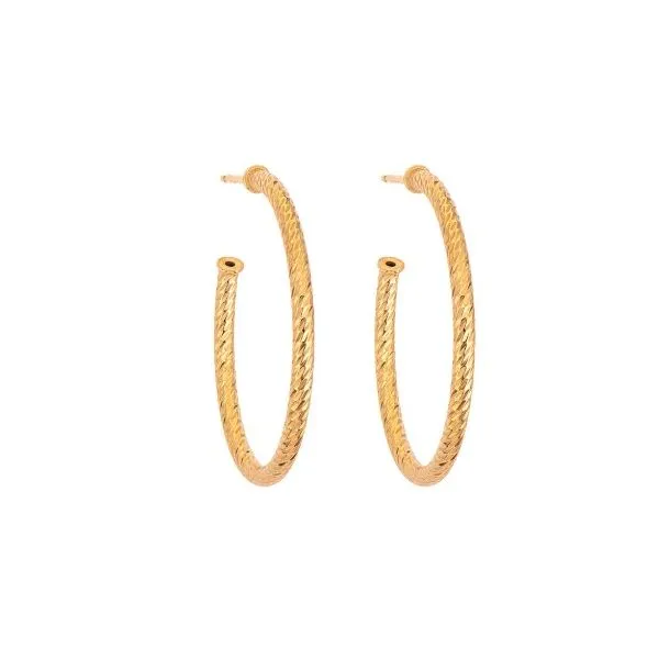 Gold Fashion Earrings Amos Jewelry Wray, CO