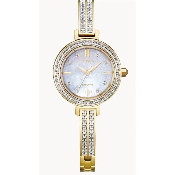 Luxury Watch Amos Jewelry Wray, CO
