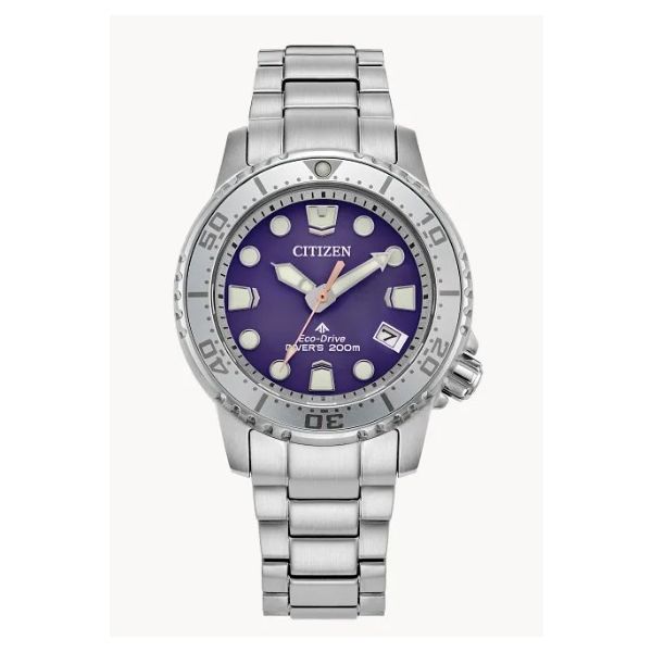 Citizen Watch Promaster Dive Eco-Drive Stainless Steel Purple Face Amos Jewelry Wray, CO