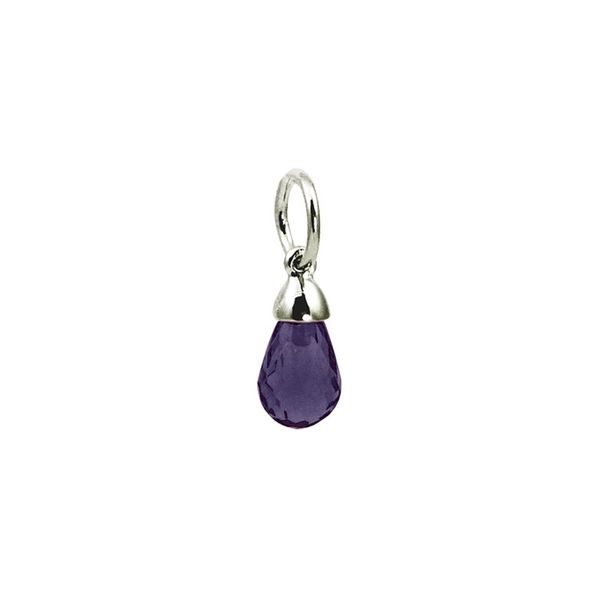 Silver Charm Amos Jewelry Wray, CO