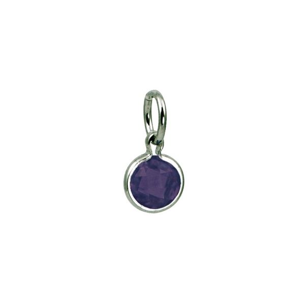 Silver Charm Amos Jewelry Wray, CO