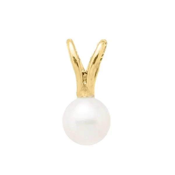 Fashion Pendant Amos Jewelry Wray, CO