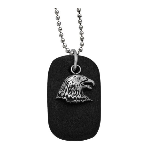 Stainless Steel Eagle Dog Tag Necklace 22