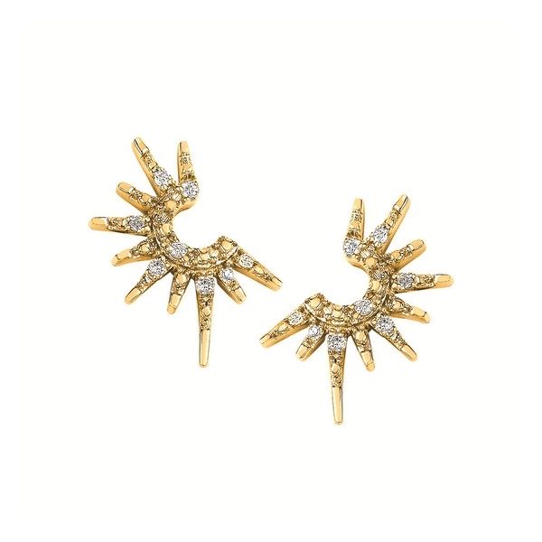 Diamond Earrings Anderson Jewelers Taylorville, IL