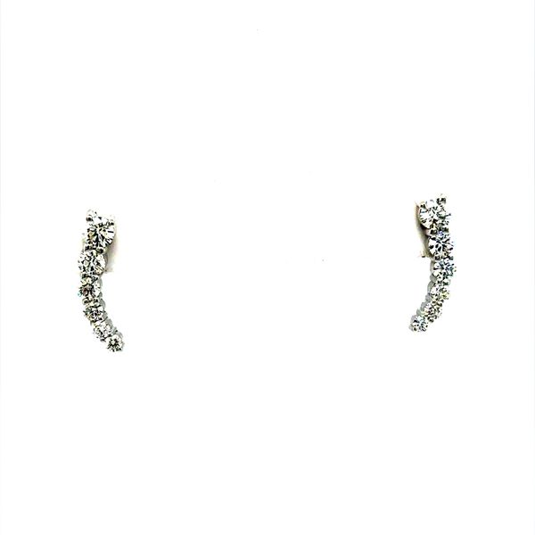 Diamond Earrings Anderson Jewelers Taylorville, IL