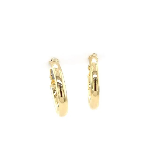 Earrings Anderson Jewelers Taylorville, IL
