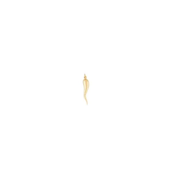 Gold Charm Anthony Jewelers Palmyra, NJ