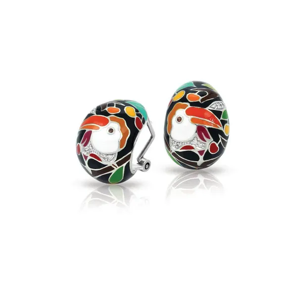 Sterling Silver Earrings Anthony Jewelers Palmyra, NJ