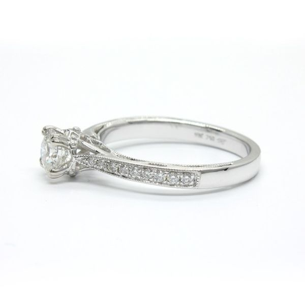 18K White Gold Diamond Engagement Ring Image 2 Arezzo Jewelers Elmwood Park, IL