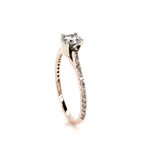Rosé Petite Straignt row Pave Engagement Ring Image 3 Arezzo Jewelers Elmwood Park, IL