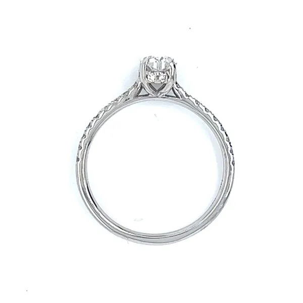 Hidden Halo Natural Oval Diamond Engagement Ring Image 4 Arezzo Jewelers Elmwood Park, IL