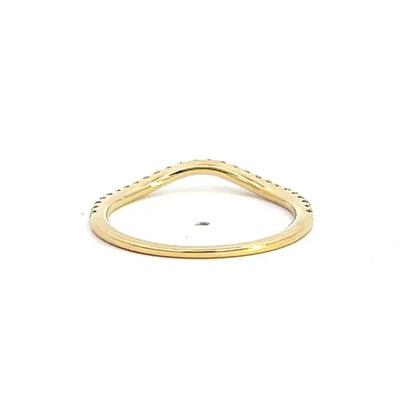 14 Karat Yellow Gold Diamond Wedding/Anniversary Band Image 3 Arezzo Jewelers Elmwood Park, IL