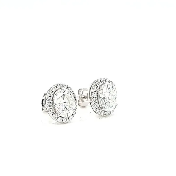14k White Gold Oval Halo Moissanite Ring Image 4 Arezzo Jewelers Elmwood Park, IL