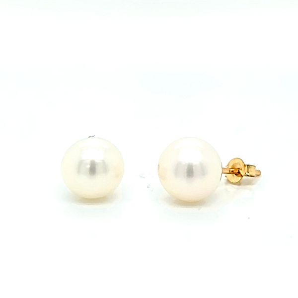 14k Yellow Gold 7.5mm Akoya Pearl Stud Earrings Arezzo Jewelers Elmwood Park, IL