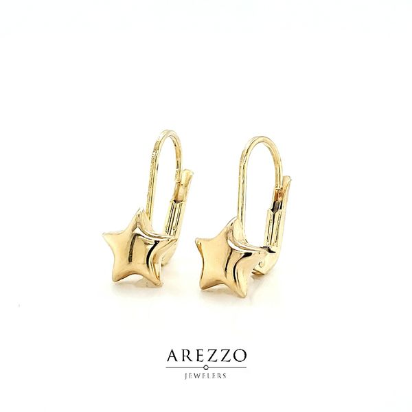 14k Yellow Gold Star Leverback Earrings Arezzo Jewelers Elmwood Park, IL