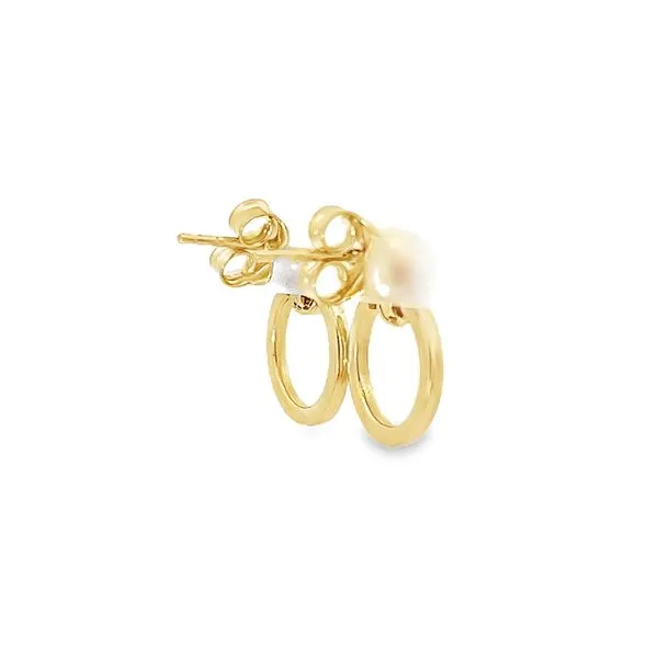 14K Yellow Gold Mini Circle Dangle Earrings Image 3 Arezzo Jewelers Elmwood Park, IL