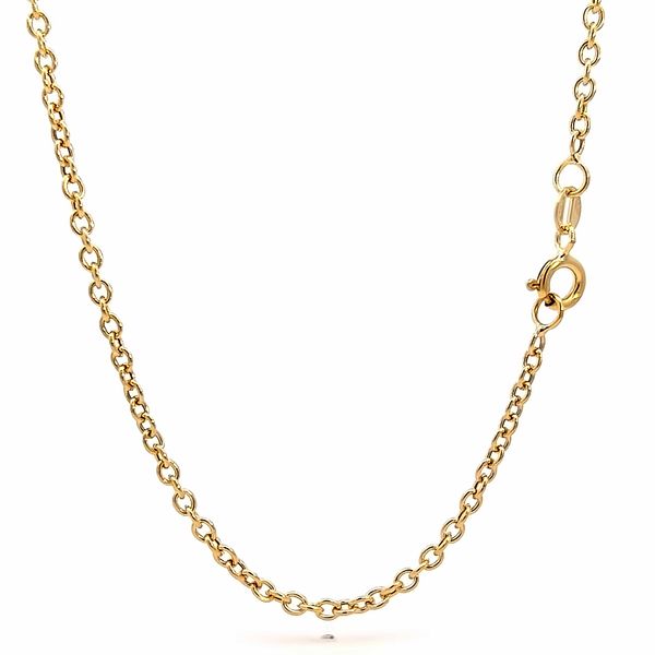 14K Yellow Gold 2.4mm Rolo Link Pendant Chain Arezzo Jewelers Elmwood Park, IL