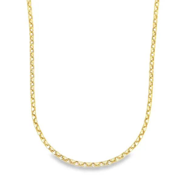 14k Yellow Gold 3.2mm Rolo Link Pendant Chain Image 3 Arezzo Jewelers Elmwood Park, IL