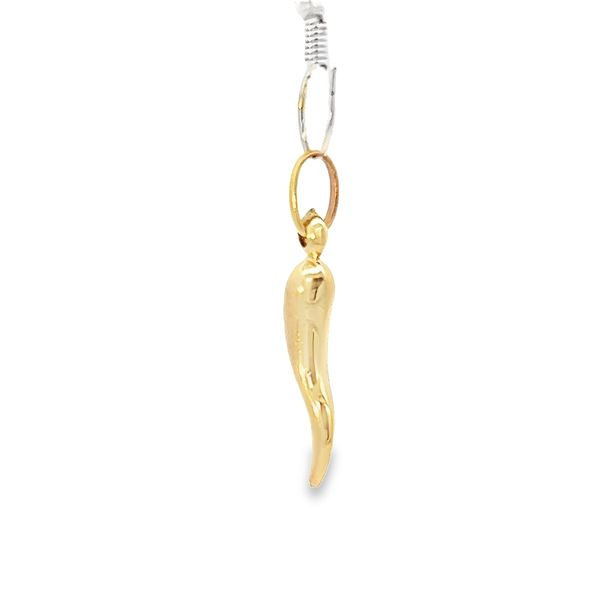 14k Yellow Gold Italian Horn Gold Charm Image 3 Arezzo Jewelers Elmwood Park, IL