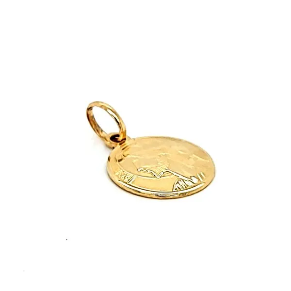 14k Yellow Gold Jesus Christ Medal Image 2 Arezzo Jewelers Elmwood Park, IL