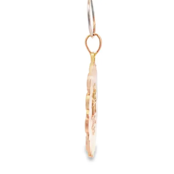 14 Karat Yellow Gold Miraculous Virgin Mary Medal Image 4 Arezzo Jewelers Elmwood, IL