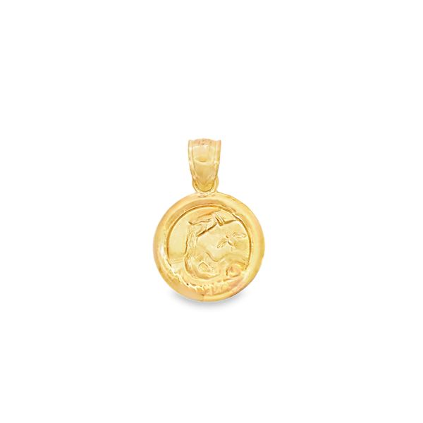 14 Karat Yellow Gold Baptism Medal Arezzo Jewelers Elmwood Park, IL