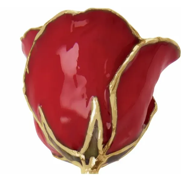 Lacquered Red Rose with Gold Trim Image 2 Arezzo Jewelers Elmwood Park, IL