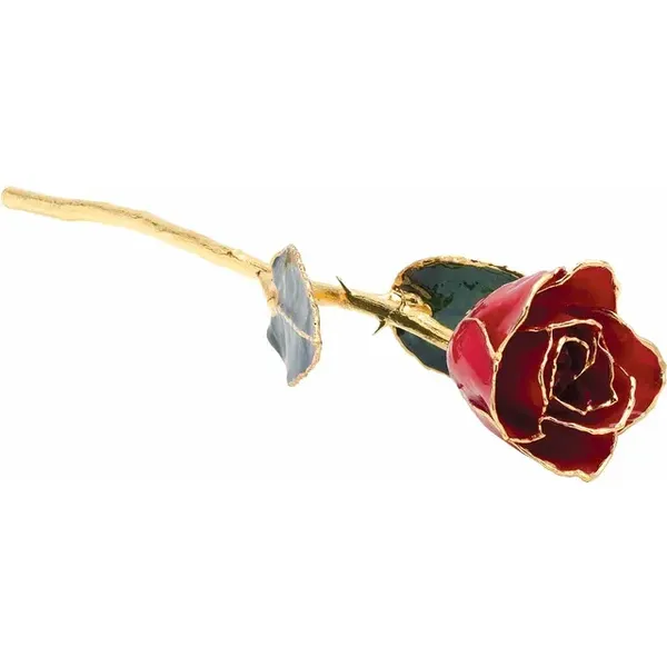 Lacquered Red Rose with Gold Trim Arezzo Jewelers Elmwood Park, IL