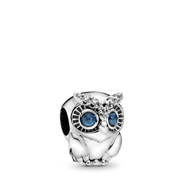 Sparkling Owl Charm Arezzo Jewelers Elmwood Park, IL