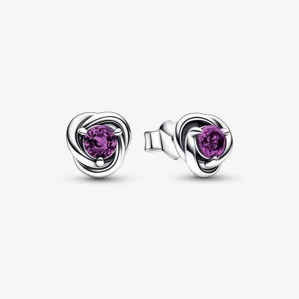 Pandora February Purple Eternity Circle Stud Earrings Arezzo Jewelers Elmwood Park, IL