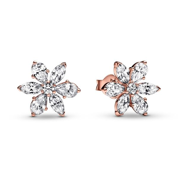 PANDORA Sparkling Herbarium Cluster Stud Earrings Arezzo Jewelers Elmwood Park, IL