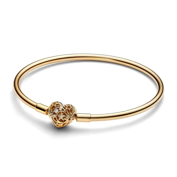 Pandora Image 2 Arezzo Jewelers Elmwood Park, IL