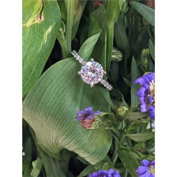 18K White Gold Round Cut Engagement Ring Image 4 Armentor Jewelers New Iberia, LA