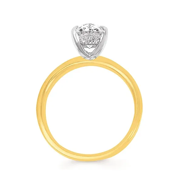 Diamond Semi-Mount Ring Image 2 Arthur's Jewelry Bedford, VA