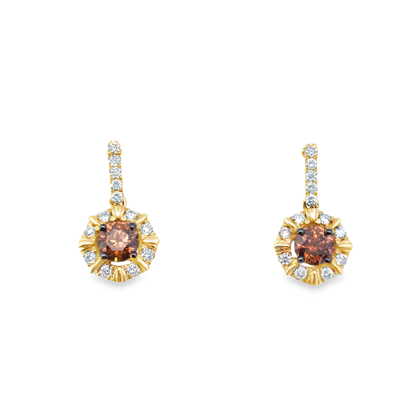 Le Vian Chocolate and Nude Diamond Earrings in 14K Honey Gold Arthur's Jewelry Bedford, VA