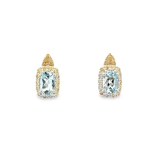 Gemstone Earrings Arthur's Jewelry Bedford, VA