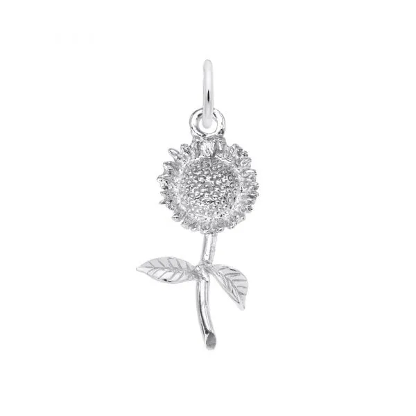 Silver Charm Arthur's Jewelry Bedford, VA