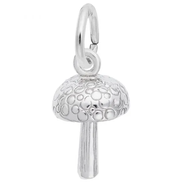 Silver Charm Arthur's Jewelry Bedford, VA