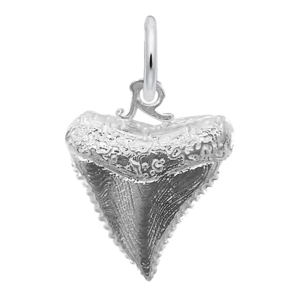 Silver Charm Arthur's Jewelry Bedford, VA