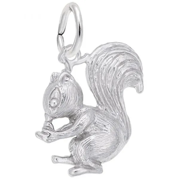 Silver Charm Arthur's Jewelry Bedford, VA