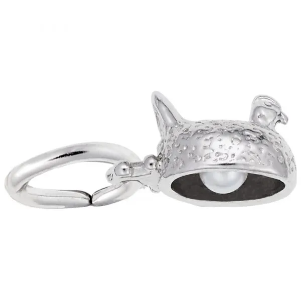 Silver Charm Arthur's Jewelry Bedford, VA