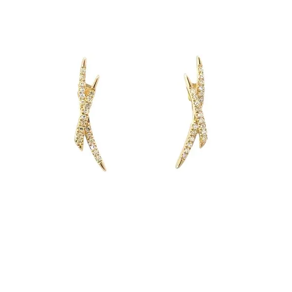 Diamond Earrings Austin's Fine Diamonds & Jewelry Lyndhurst, NJ