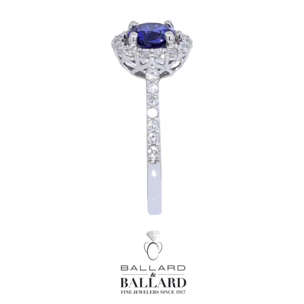 14K White Gold Diamond Halo Sapphire Fashion Ring Image 4 Ballard & Ballard Fountain Valley, CA
