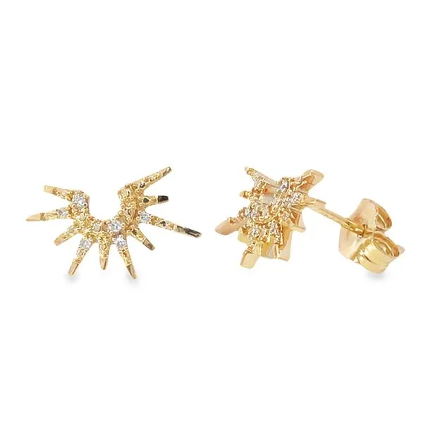 Diamond Earrings Banks Jewelers Burnsville, NC