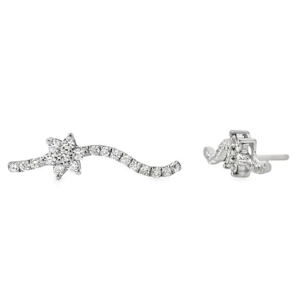 Silver Earrings Image 2 Banks Jewelers Burnsville, NC