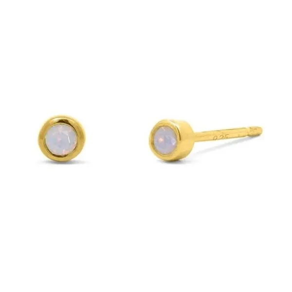 Silver Earrings Banks Jewelers Burnsville, NC
